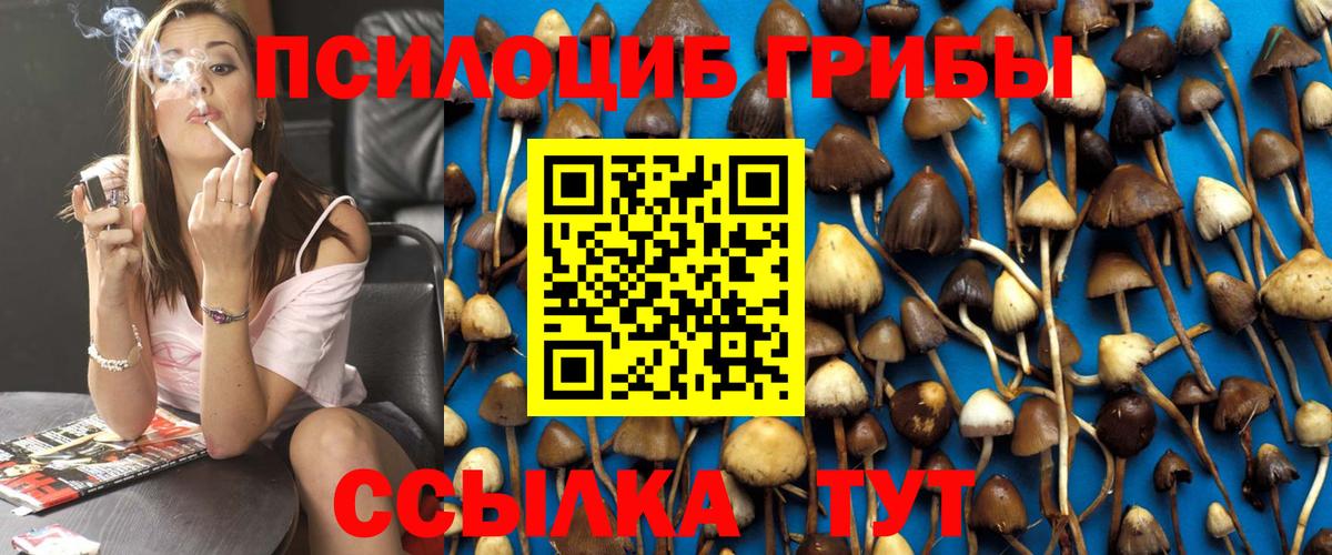 Партизанск  Галлюциногенные грибы ЛСД  Вход с VPN  Псилоцибиновые грибы Magic Shrooms 